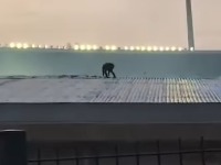 Navijač trčao po krovu, pa NESTAO: Postavljanje transparenta o Franji Tuđmanu (VIDEO)