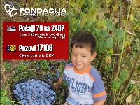 Pomozimo Iliji slanjem 76 na 2407