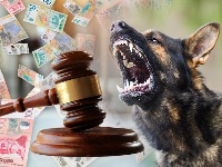 Komunalci krenuli u kontrole OPASNIH pasa: Evo šta je zabranjeno