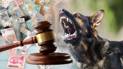 Komunalci krenuli u kontrole OPASNIH pasa: Evo šta je zabranjeno