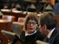 Maja Gojković: Vučiću niko ne može da zabrani da šeta Novim Sadom