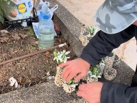 Influenser testirao dobrotu, a cvet prodavca raznežio Srbiju (VIDEO)