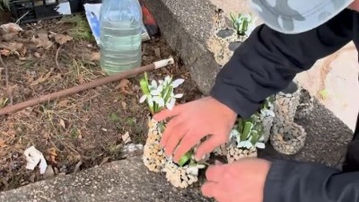 Influenser testirao dobrotu, a cvet prodavca raznežio Srbiju (VIDEO)