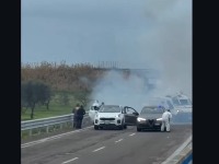 Filmska pljačka NASRED AUTOPUTA (VIDEO)