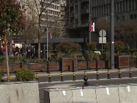 54 miliona za saksije u centru BG: "Neko je uzeo novac iz budžeta i stavio u džep"