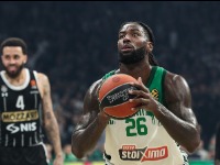 Lesor pecnuo Zvezdu: Ne pratim ih, ne zanimaju me