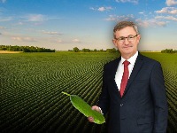 AKCIJA DRAGANA GLAMOČIĆA Seljaci iz uvoza za berbu srpskih krastavaca