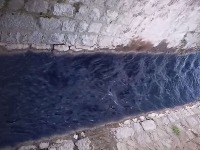 Ekološki alarm: Reka postala modro-crna, nadležni ćute (VIDEO)