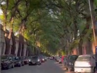 Da li je ovo najlepša ulici u Srbiji? (VIDEO)