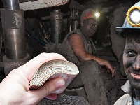 Srbija zemlja rudara - ovo su im plate na 200 aktivnih rudnika