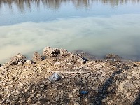 SSP: Pogled na priobalje Save više liči na apokaliptični prizor nego na obalu reke (FOTO)