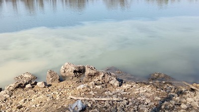 SSP: Pogled na priobalje Save više liči na apokaliptični prizor nego na obalu reke (FOTO)