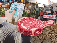 Kako je propao domaći agrar: Nekada smo mogli da hranimo POLA EVROPE, a danas ni sebe!