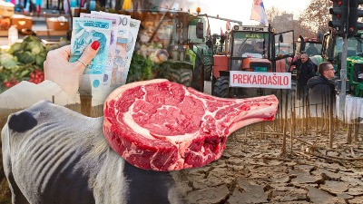 Kako je propao domaći agrar: Nekada smo mogli da hranimo POLA EVROPE, a danas ni sebe!
