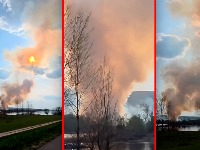 VATRENA STIHIJA kod Beočina: Ne vidi se prst pred okom (VIDEO)