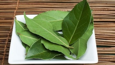 LOVOROV LIST NA VRATIMA: Mala magija koja donosi mir, sreću i zaštitu u vaš dom