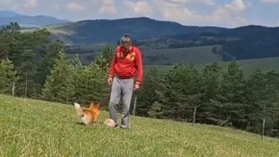 Gagi Jovanović i zet kao najbolji drugovi: Fotografija sa Zlatibora raznežila mreže – evo zašto svi pričaju o njihovom odnosu!