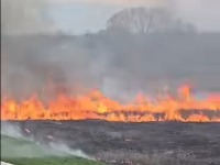 HAOS na Moravskom koridoru: Požar guta sve pred sobom! (VIDEO)