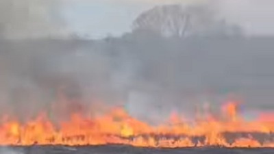 HAOS na Moravskom koridoru: Požar guta sve pred sobom! (VIDEO)