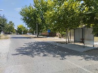 Šangaj kraj Dunava: Novosadsko naselje gde komšije dele i hleb i život