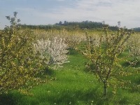 Uživa u prirodi: Glumac nakon razvoda od koleginice boravi na selu
