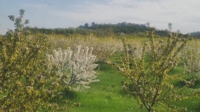 Uživa u prirodi: Glumac nakon razvoda od koleginice boravi na selu