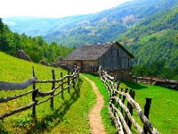 BEKSTVO OD BETONA: Kako je grad počeo da gubi trku sa seoskom tišinom!?