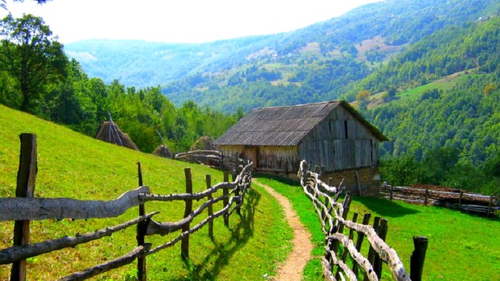 BEKSTVO OD BETONA: Kako je grad počeo da gubi trku sa seoskom tišinom!?