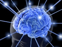 Hobi koji „resetuje“ mozak: Neurolog tvrdi da ova navika jača pamćenje i koncentraciju