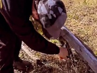 Naš glumac napustio Beograd i pronašao mir na Kosovu: Život na selu mu potpuno promenio svakodnevicu