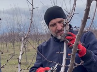 „Ovo se ne prodaje“: Nenad Jezdić od svog sela napravio carstvo koje ne menja ni za milione