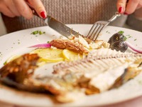 Najzdravija riba na svetu je često i najjeftinija – evo zašto je baš ona pravi izbor