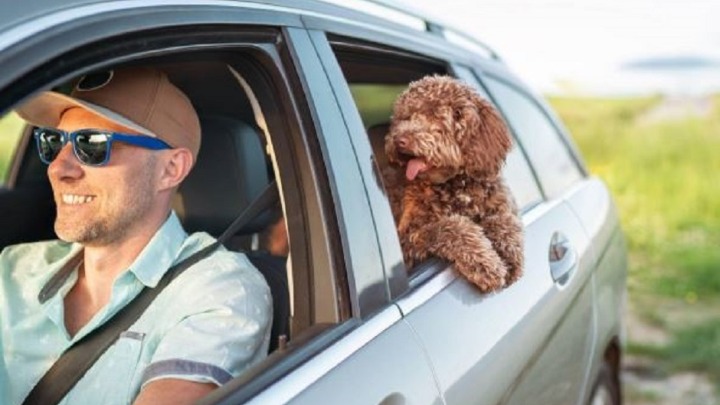 Ne ostavljajte ljubimca kod kuće: Ovo su idealne destinacije za zajednički odmor