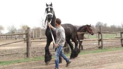 Nije Arizona, već Srbija: Život u galopu na ranču u Velikom Polju