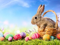 Kako je zec postao simbol Uskrsa: Priča o tradiciji, simbolici i malo magije