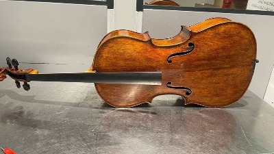 NEOBIČNA ZAPLENA Carinici otkrili dva stara vilončela (FOTO)