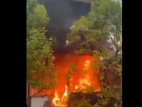Požar na Adi: Plamen se širi, sve prekriveno dimom (VIDEO)