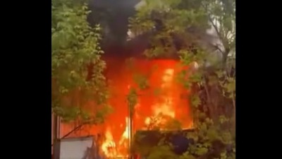 Požar na Adi: Plamen se širi, sve prekriveno dimom (VIDEO)