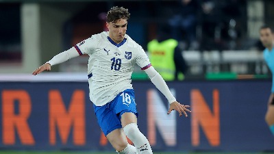 Cvetković pao na provokaciju: Srpski napadač pesničio rivala, pa "pocrveneo" (VIDEO)
