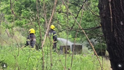 Buknuo požar u Novom Sadu (VIDEO)
