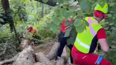 DRAMA NA FRUŠKOJ GORI Muškarac pao sa drveta - usledila akcija spasavanja (FOTO)