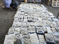 Novosađanin natovario drogu NA BAŠ VELIKO - 200 kg "trave" i 2,4 kg kokaina (FOTO)