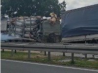Gas izbija iz cisterne, opasnost od eksplozije: Obustavljen saobraćaj na auto-putu kod Stare Pazove (VIDEO)
