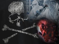  LOŠE VESTI Identifikovan soj SMRTONOSNOG virusa koji je izazvao smrt putnika na kruzeru-i NIJE DOBRO!
