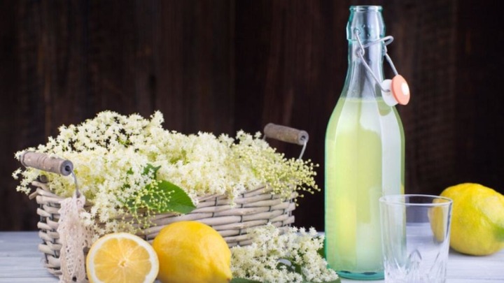 Šokata sirup od zove, limuna i narandže: Najbolji domaći napitak za osveženje i vitamine