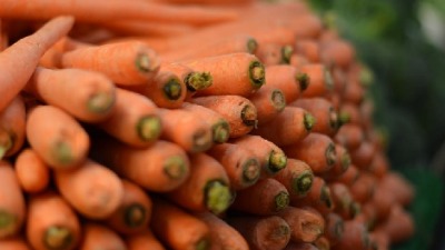 Šargarepa UBICA: 40 osoba zaraženo opasnom bakterijom