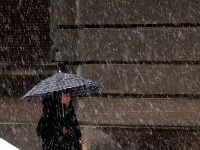 Pao sneg U Novom Sadu: Sve se zabelelo (VIDEO)