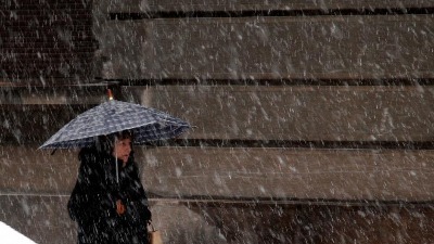 Pao sneg U Novom Sadu: Sve se zabelelo (VIDEO)