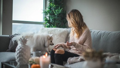 Pas vam donosi HRANU u drugu sobu? Ovo je razlog zbog kojeg se to dešava 
